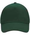 B15 Classic Cap Bottle Green colour image
